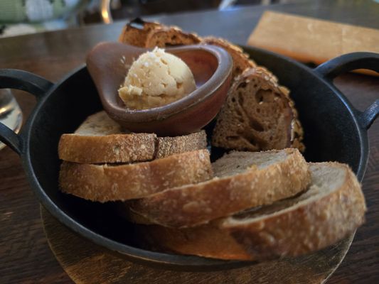 Oystercatcher by null