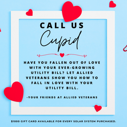 Slide of Allied Veterans