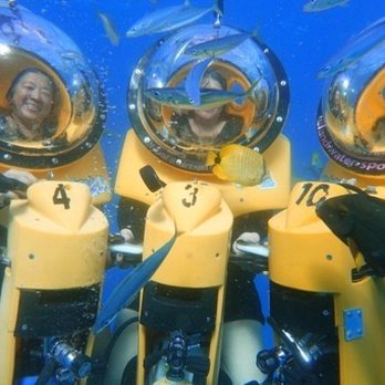 Bob's Hawaii Adventure - With siblings - Tours Near Me - Honolulu, Hawaii