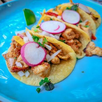 Tacos Tin Tan - two tacos on a blue plate - Mexican Near Me - Montreal, Quebec Tacos Tin Tan - two tacos on a blue plate - Mexican Near Me - Montreal, Quebec