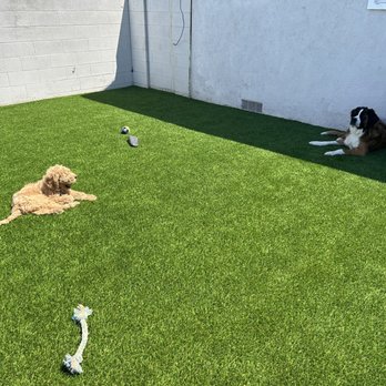 RD Turf and Putting Greens - Artificial Turf Near Me RD Turf and Putting Greens - Artificial Turf Near Me