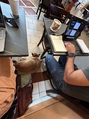 Burlap Coffee by null