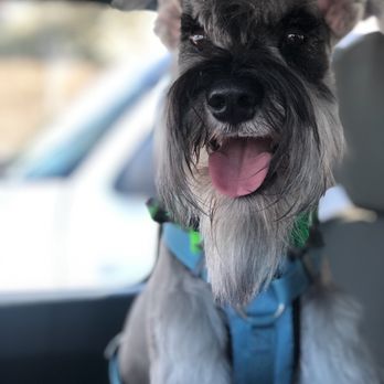 Annie's Pet Parlor - Pet Groomers Near Me - Phoenix, Arizona