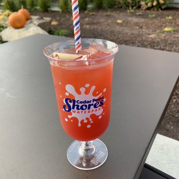 Cedar Point - Poison Bite with Fireball - Amusement Parks Near Me - Sandusky, Ohio