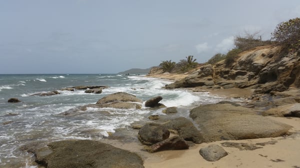 The Vieques Guesthouse by null
