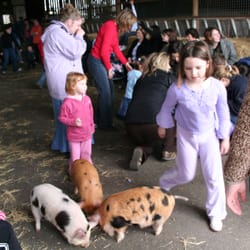 Farmer Palmer's Farm Park