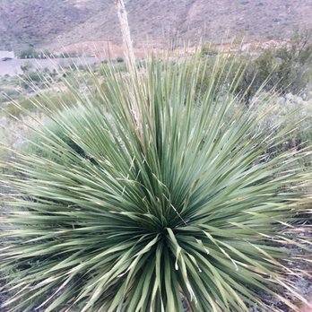 Mckelligon Canyon Theatre - Music Venues Near Me - El Paso, Texas Mckelligon Canyon Theatre - Music Venues Near Me - El Paso, Texas