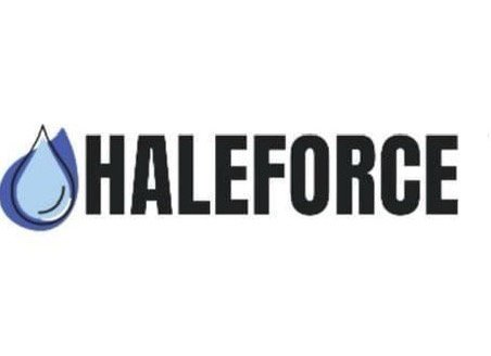 Slide of Haleforce Services