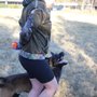 Photo of Manifest K9