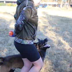 Thor working his obedience before the bitework