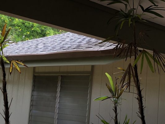Chemi-Pure Termite & Pest Control photo 5 in Honolulu