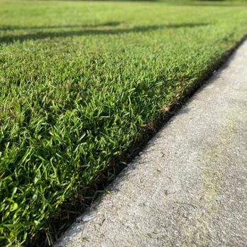 Freedom Lawn Care - a freshly mowed lawn - Lawn Services Near Me Freedom Lawn Care - a freshly mowed lawn - Lawn Services Near Me