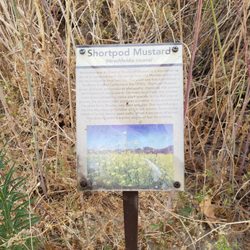 Serrano Creek Trail