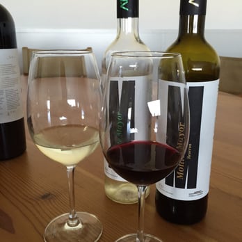 Adega Mayor - Wineries Near Me - Campo Maior, 12