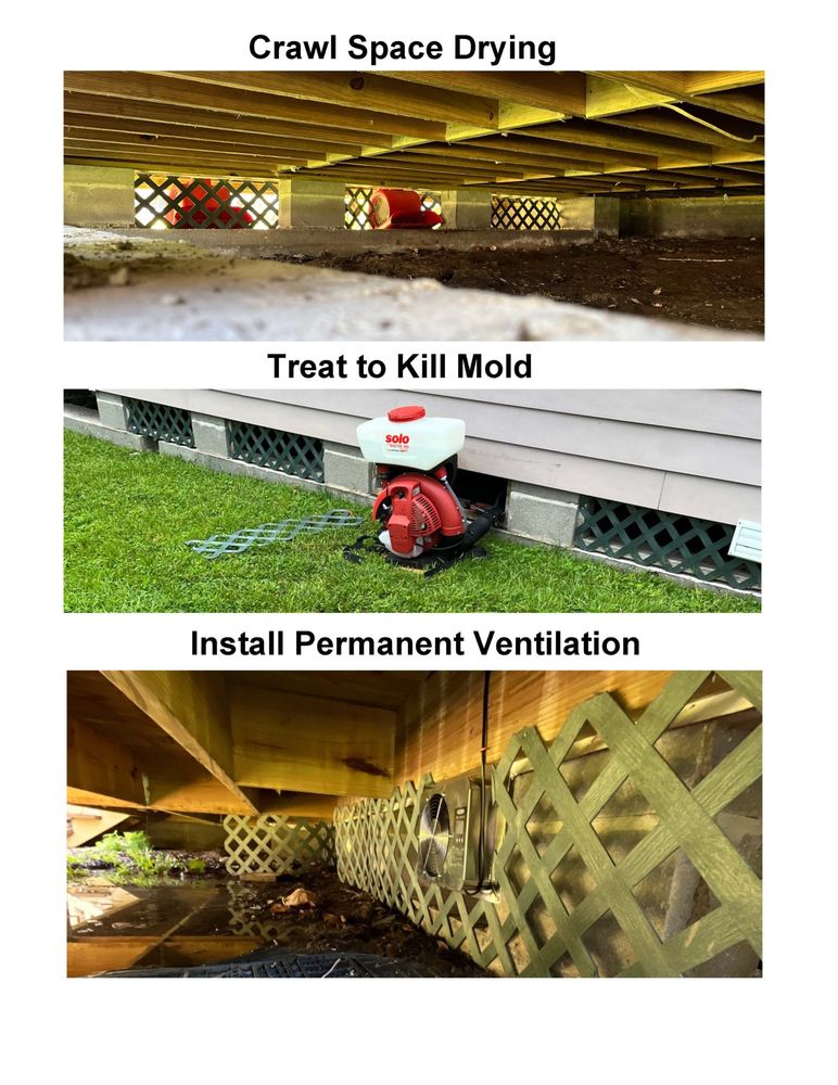 Gulf States Clean Guard - mold inspector in Mandeville, LA