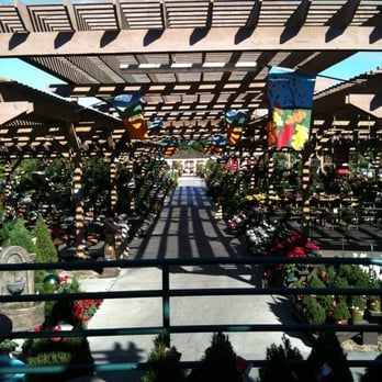 Armstrong Garden Centers Updated Covid 19 Hours Services 180 Photos 105 Reviews Nurseries Gardening 25225 Crenshaw Blvd Torrance Ca Phone Number Yelp - Armstrong Garden Centers Torrance Ca Armstrong Garden Centers Updated Covid 19 Hours Services 180 Photos 105 Reviews Nurseries Gardening 25225 Crenshaw Blvd Torrance Ca Phone Number Yelp - Armstrong Garden Centers Torrance Ca