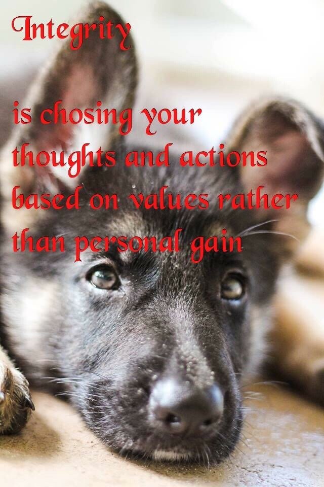 Wolves Den Ranch Image