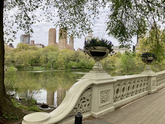 Bow Bridge by null