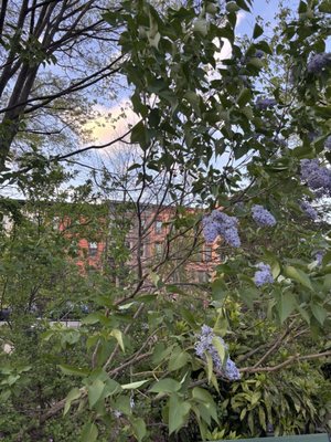 Van Vorst Park by null