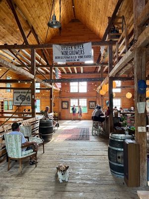 Oyster River Winegrowers by null