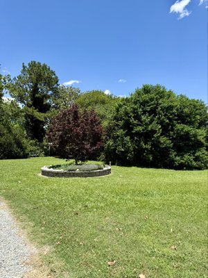 A Secret Garden Winery by null