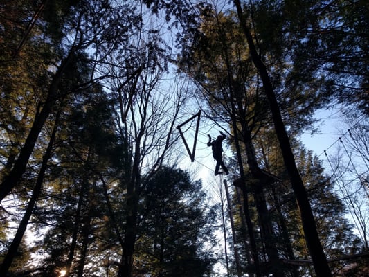 Ramblewild Adventure Park by null