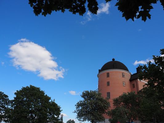 Uppsala Castle by null