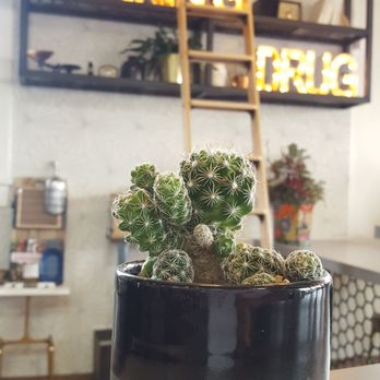 Better Buzz Coffee Hillcrest - Coffee & Tea Near Me - San Diego, California