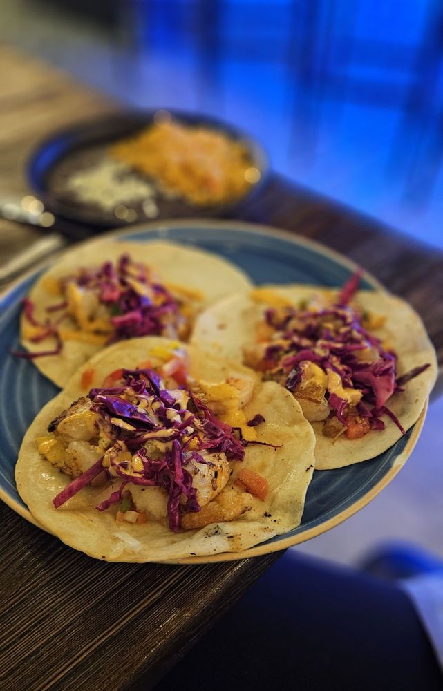 Condesa - Sturbridge