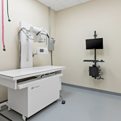 Orting Animal Hospital - Orting Animal Hospital