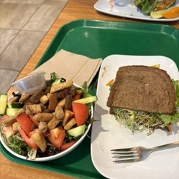 Half veggie sandwich and green salad. I KNOW IT LOOKS HEALTHY but I swear it tastes absolutely delicious. Half veggie sandwich and green salad. I KNOW IT LOOKS HEALTHY but I swear it tastes absolutely delicious.