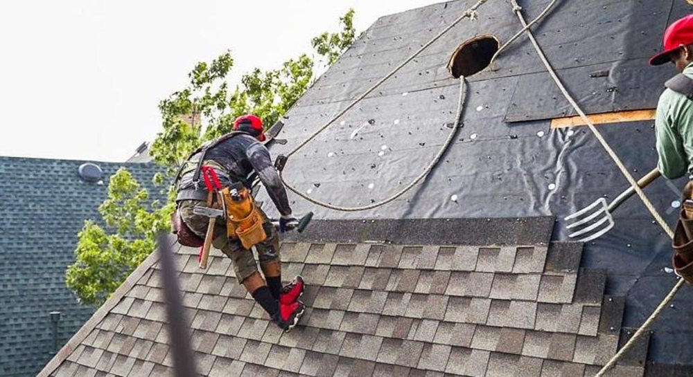 Slide of Hail King Professionals