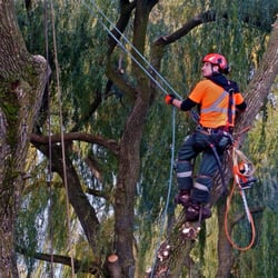 Tri-City Tree Service