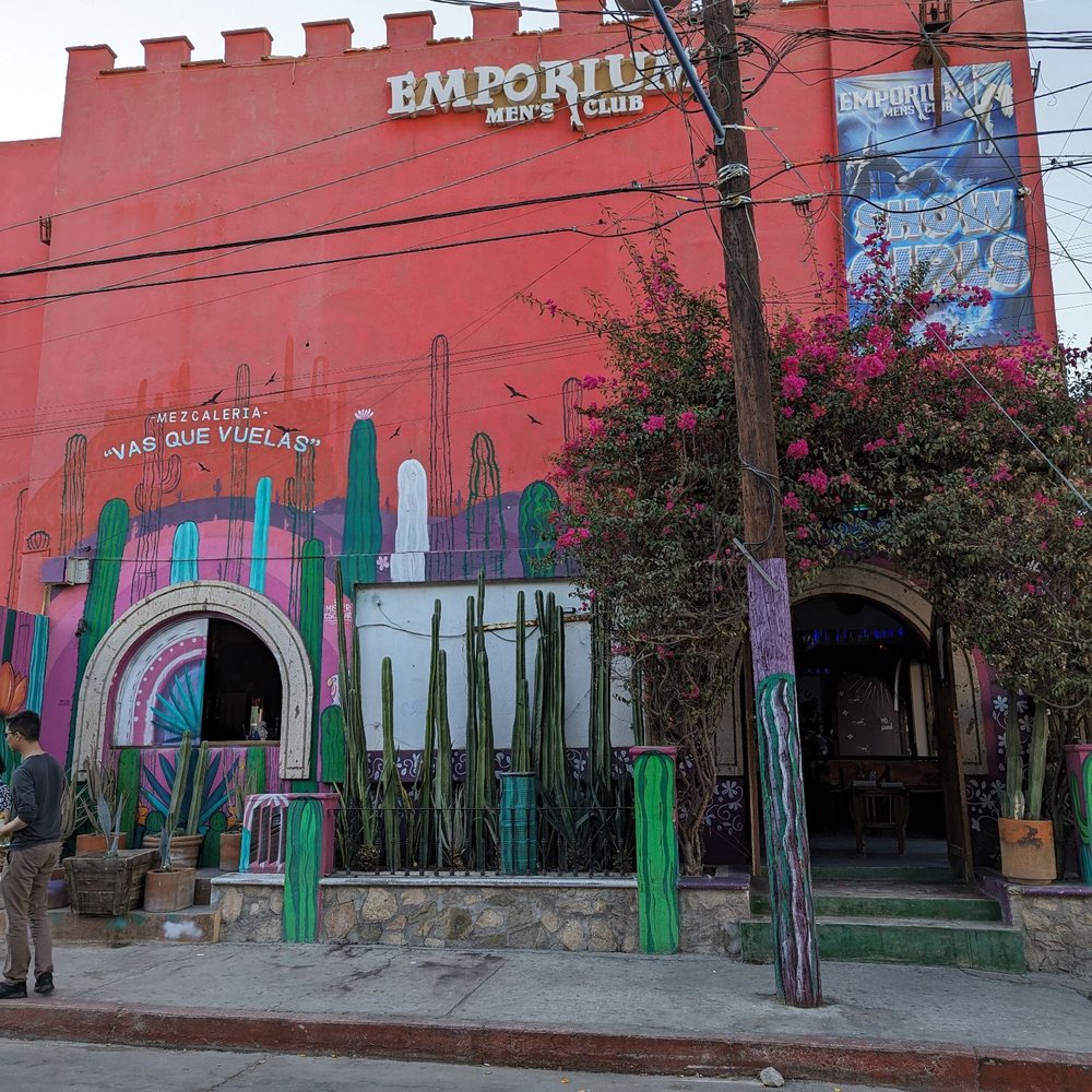 Vas Que Vuelas - Outside - Bars Near Me - Cabo San Lucas, BCS