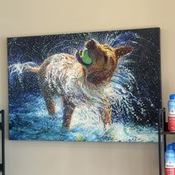 Kickapoo Ranch Pet Resort - Inside 9.25.26