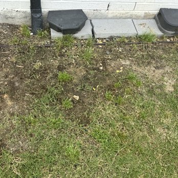 Fields Sprinkler Drainage Lighting - Before - Irrigation Near Me