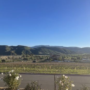 Altisima Winery - Wineries Near Me - Temecula, California Altisima Winery - Wineries Near Me - Temecula, California