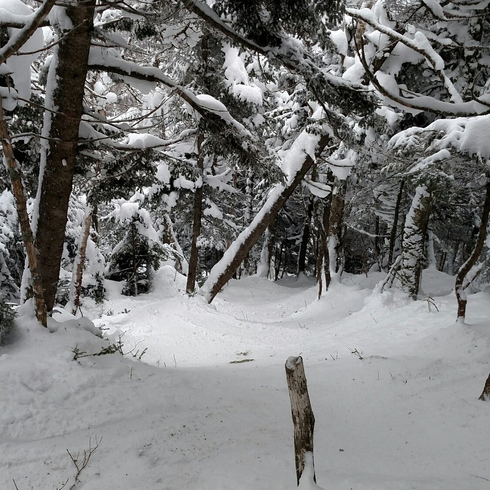 Sugarbush Resort - Head of a chute - Ski Resorts Near Me - Warren, Vermont