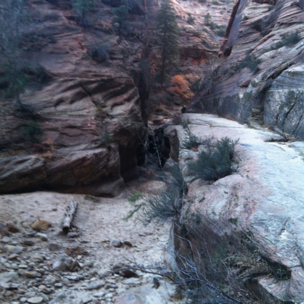 Observation Point - Hiking Near Me - Springdale, Utah Observation Point - Hiking Near Me - Springdale, Utah
