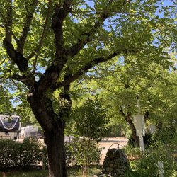 Loomis Rv Park