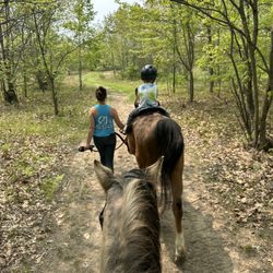 CJ's Stable