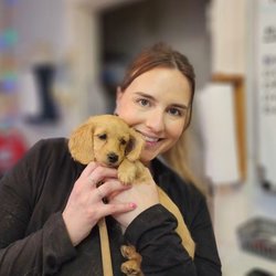 Thrive Pet Healthcare Medford