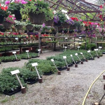 Wear's Flowers Garden Centre - Photo - Florists Near Me - Hamilton, Ontario