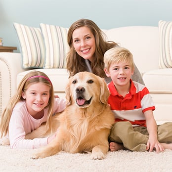 All Seasons Chem-Dry - Professional Carpet Cleaning in Ozark, MO - Carpet Cleaning Near Me - Springfield, Missouri All Seasons Chem-Dry - Professional Carpet Cleaning in Ozark, MO - Carpet Cleaning Near Me - Springfield, Missouri