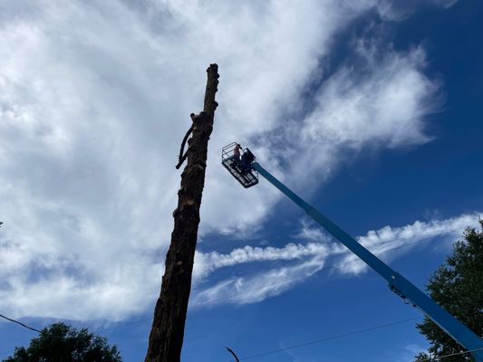 bigfoot equipment rental and supply