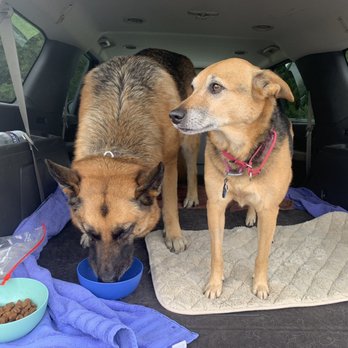 Valentina Pet Care - Pet Boarding Near Me