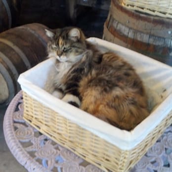 Menghini Winery - Wineries Near Me - Julian, California Menghini Winery - Wineries Near Me - Julian, California