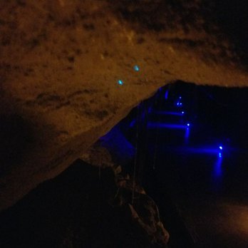 Waitomo Glowworm Caves - A couple glowworms. - Rafting/Kayaking Near Me - Waitomo, WKO Waitomo Glowworm Caves - A couple glowworms. - Rafting/Kayaking Near Me - Waitomo, WKO