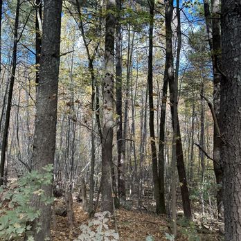 Peters Mill Run - Hiking Near Me - Seven Fountains, Virginia Peters Mill Run - Hiking Near Me - Seven Fountains, Virginia