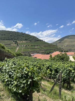 Quinta do Bomfim by null